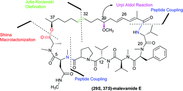 Graphical abstract: Total synthesis of (29S,37S)-isomer of malevamide E, a potent ion-channel inhibitor