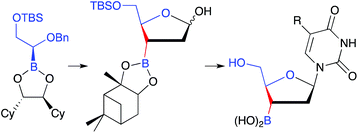Graphical abstract: Synthesis and properties of 1-(3′-dihydroxyboryl-2′,3′-dideoxyribosyl)pyrimidines