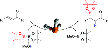 Graphical abstract: Essential role of phosphines in organocatalytic β-boration reaction