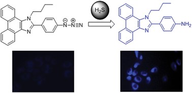 Graphical abstract: A phenanthroimidazole-based fluorescent chemosensor for imaging hydrogen sulfide in living cells