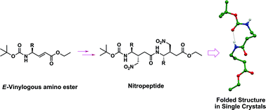 Graphical abstract: Synthesis and stereochemical analysis of β-nitromethane substituted γ-amino acids and peptides