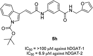 Graphical abstract: Discovery of indolyl acrylamide derivatives as human diacylglycerol acyltransferase-2 selective inhibitors