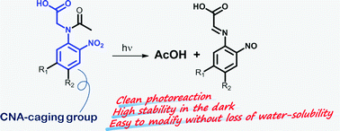 Graphical abstract: N-Acyl-N-carboxymethyl-2-nitroaniline and its analogues: a new class of water-soluble photolabile precursor of carboxylic acids