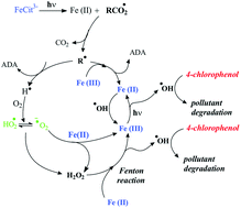 Graphical abstract: Degradation of 4-chlorophenol in aqueous solution photoinduced by Fe(iii)–citrate complex