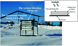 Graphical abstract: Measurement of solar UV radiation in Antarctica with collagen sheets