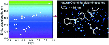 Graphical abstract: Spectrochemistry and artificial color modulation of Cypridina luminescence: indirect evidence for chemiexcitation of a neutral dioxetanone and emission from a neutral amide