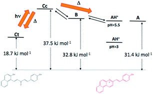 Graphical abstract: Photochemistry of 2-(4-hydroxystyryl)-1-naphthopyrylium