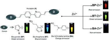 Graphical abstract: Heteroaromatic donors in donor–acceptor–donor based fluorophores facilitate zinc ion sensing and cell imaging