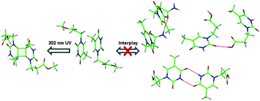 Graphical abstract: The interplay between hydrogen bonding and π–π stacking interactions in the crystal packing of N1-thyminyl derivatives, and implications for the photo-chemical [2π + 2π]-cycloaddition of thyminyl compounds