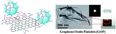 Graphical abstract: Individual graphene oxide platelets through direct molecular exfoliation with globular amphiphilic hyperbranched polymers