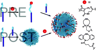 Graphical abstract: Copper-free click chemistry on polymersomes: pre- vs. post-self-assembly functionalisation