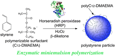 Graphical abstract: Enzymatic miniemulsion polymerization of styrene with a polymerizable surfactant