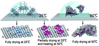 Graphical abstract: Poly(N-isopropylacrylamide) on two-dimensional graphene oxide surfaces