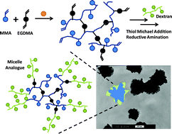 Graphical abstract: Polysaccharide-stabilized core cross-linked polymer micelle analogues
