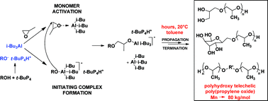 Graphical abstract: Combination of phosphazene base and triisobutylaluminum for the rapid synthesis of polyhydroxy telechelic poly(propylene oxide)