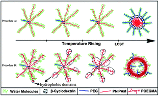 Graphical abstract: Miktoarm star polymers with poly(N-isopropylacrylamide) or poly(oligo(ethylene glycol) methacrylate) as building blocks: synthesis and comparison of thermally-responsive behaviors
