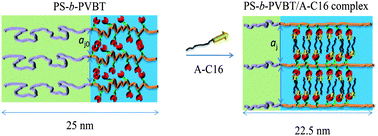 Graphical abstract: Complementary multiple hydrogen bonding interactions mediate the self-assembly of supramolecular structures from thymine-containing block copolymers and hexadecyladenine