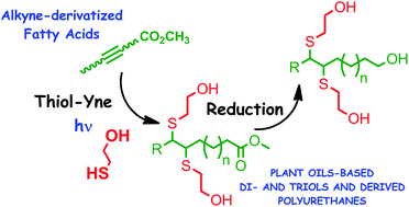 Graphical abstract: Thiol–yne reaction of alkyne-derivatized fatty acids: biobased polyols and cytocompatibility of derived polyurethanes