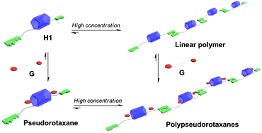 Graphical abstract: Pillar[5]arene-based supramolecular polypseudorotaxanes constructed from quadruple hydrogen bonding