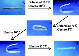 Graphical abstract: Poly(p-dioxanone)–poly(ethylene glycol) network: synthesis, characterization, and its shape memory effect