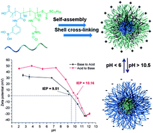 Graphical abstract: pH-Triggered reversible morphological inversion of orthogonally-addressable poly(3-acrylamidophenylboronic acid)-block-poly(acrylamidoethylamine) micelles and their shell crosslinked nanoparticles