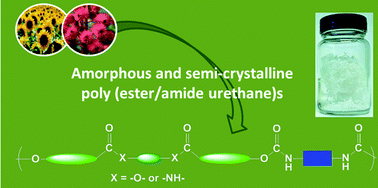Graphical abstract: Hydroxyl telechelic building blocks from fatty acid methyl esters for the synthesis of poly(ester/amide urethane)s with versatile properties