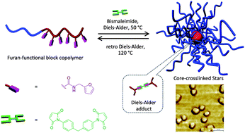 Graphical abstract: Dynamic-covalent nanostructures prepared by Diels–Alder reactions of styrene-maleic anhydride-derived copolymers obtained by one-step cascade block copolymerization