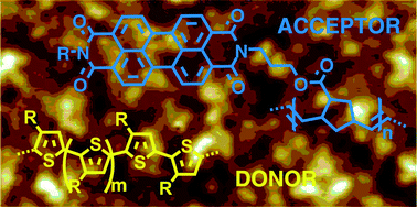 Graphical abstract: Polynorbornenes with pendant perylene diimides for organic electronic applications