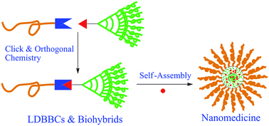Graphical abstract: Linear–dendritic biodegradable block copolymers: from synthesis to application in bionanotechnology