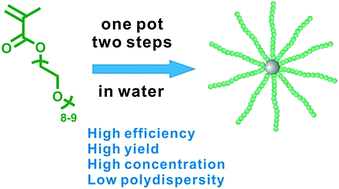 Graphical abstract: One-pot RAFT synthesis of core cross-linked star polymers of polyPEGMA in water by sequential homogeneous and heterogeneous polymerizations
