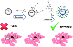 Graphical abstract: Effect of TiO2 nanoparticle surface functionalization on protein adsorption, cellular uptake and cytotoxicity: the attachment of PEG comb polymers using catalytic chain transfer and thiol–ene chemistry
