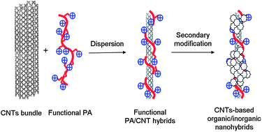 Graphical abstract: Functional polyacetylenes: hybrids with carbon nanotubes