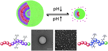 Graphical abstract: pH-switchable polymer nanostructures for controlled release
