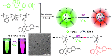 Graphical abstract: One-pot fabrication of amphiphilic photoswitchable thiophene-based fluorescent polymer dots