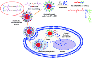 Graphical abstract: Thiol and pH dual-responsive dynamic covalent shell cross-linked micelles for triggered release of chemotherapeutic drugs