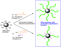 Graphical abstract: Tuning structural parameters of polyethylene brushes on silica nanoparticles in surface-initiated ethylene “living” polymerization and effects on silica dispersion in a polyolefin matrix