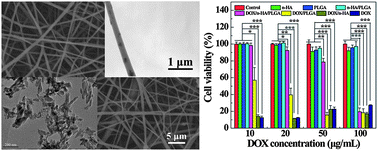 Graphical abstract: Antitumor efficacy of doxorubicin-loaded electrospun nano-hydroxyapatite–poly(lactic-co-glycolic acid) composite nanofibers