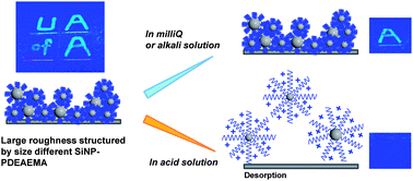 Graphical abstract: Construction of ‘smart’ surfaces with polymer functionalized silica nanoparticles