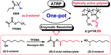 Graphical abstract: One-pot synthesis of optically active polymer via concurrent cooperation of enzymatic resolution and living radical polymerization