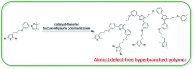 Graphical abstract: Synthesis of hyperbranched polythiophene with a controlled degree of branching via catalyst-transfer Suzuki–Miyaura coupling reaction