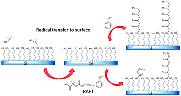 Graphical abstract: Controlled polymer monolayer synthesis by radical transfer to surface immobilized transfer agents