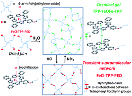 Graphical abstract: Soft dynamic covalent hydrogels based on iron(iii)tetraphenylporphyrinato-functionalized 4-arm poly(ethylene oxide)