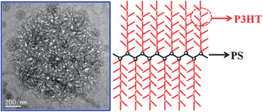 Graphical abstract: Functional copolymer brushes composed of a hydrophobic backbone and densely grafted conjugated side chains via a combination of living polymerization with click chemistry