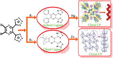 Graphical abstract: New chiral coordination polymers constructed from well elaborated achiral and chiral ligands