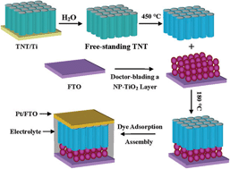 Graphical abstract: A bilayer structure of a titania nanoparticle/highly-ordered nanotube array for low-temperature dye-sensitized solar cells