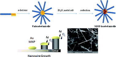Graphical abstract: Synthesis of hybrid polymethacrylate–noble metal (M = Au, Pd) nanoparticles for the growth of metal-oxide semiconductor nanowires