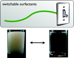 Graphical abstract: Designing the head group of CO2-triggered switchable surfactants