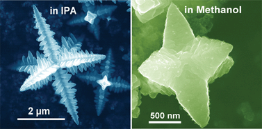 Graphical abstract: Fabrication, magnetic properties and self-assembly of hierarchical crystalline hexapod magnetites
