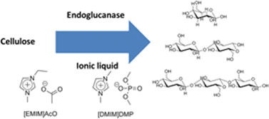 Graphical abstract: Partial enzymatic hydrolysis of microcrystalline cellulose in ionic liquids by Trichoderma reesei endoglucanases