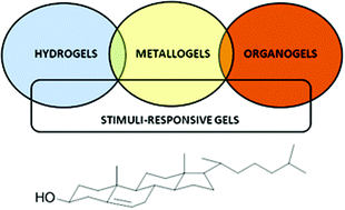 Graphical abstract: Recent advances in steroidal supramolecular gels